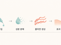 콜라겐이 남아 / 효과가 이어져 - 수완지구쥬베룩 | 미미썸의원 광주첨단점